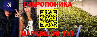 МДПВ Славянск-на-Кубани