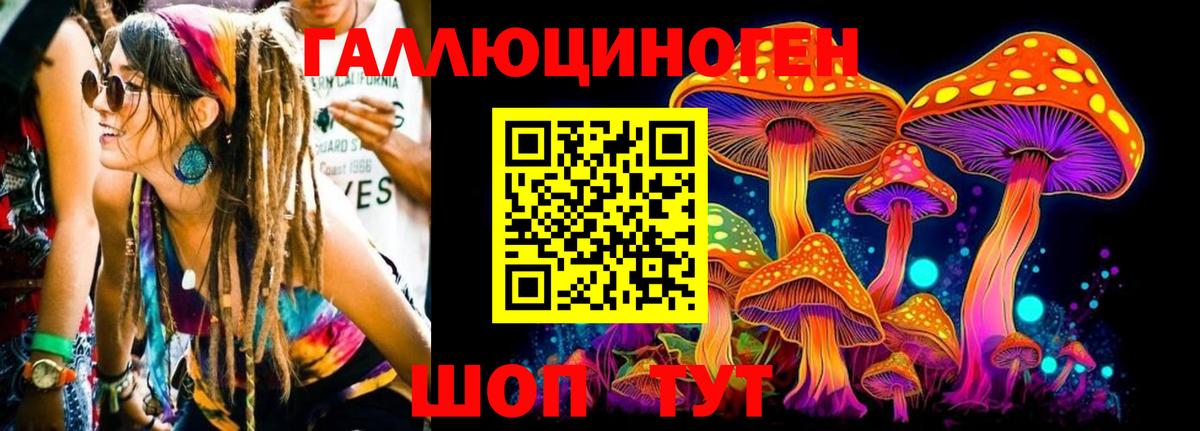 Псилоцибиновые грибы прущие грибы Нурлат